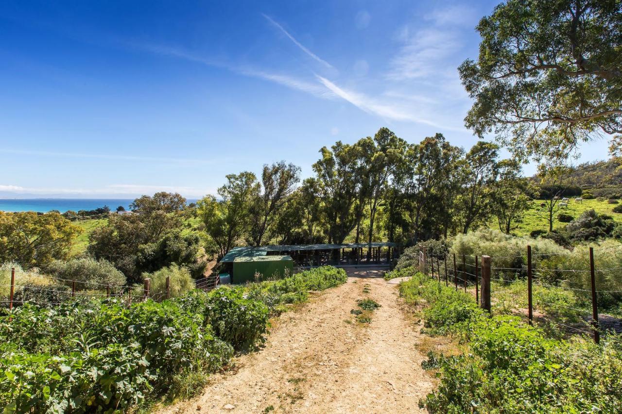 Casita Rural En Centro De Hipica Apartment Tarifa Ngoại thất bức ảnh
