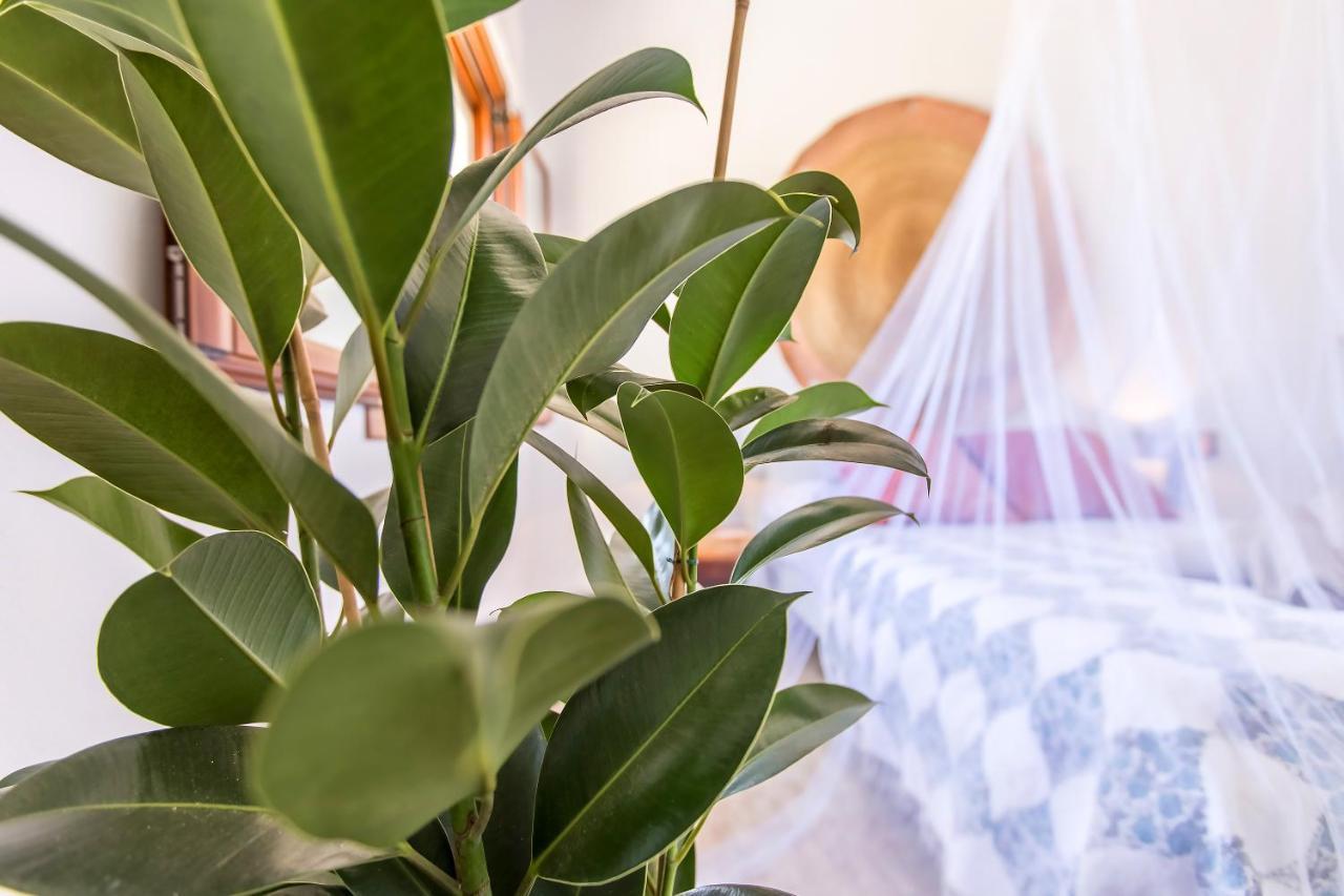 Casita Rural En Centro De Hipica Apartment Tarifa Ngoại thất bức ảnh